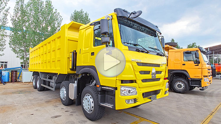 Sinotruk Howo 8x4 Tipper Truck for Sale Price in Angola